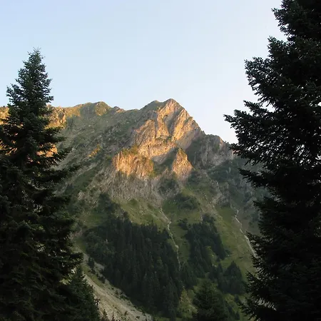 Casa de Férias Family