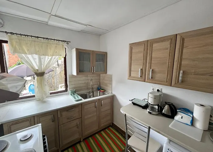 Σπίτι διακοπών Family Agia Paraskevi (Thessalia)