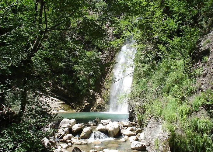 Family Agia Paraskevi (Thessalia)