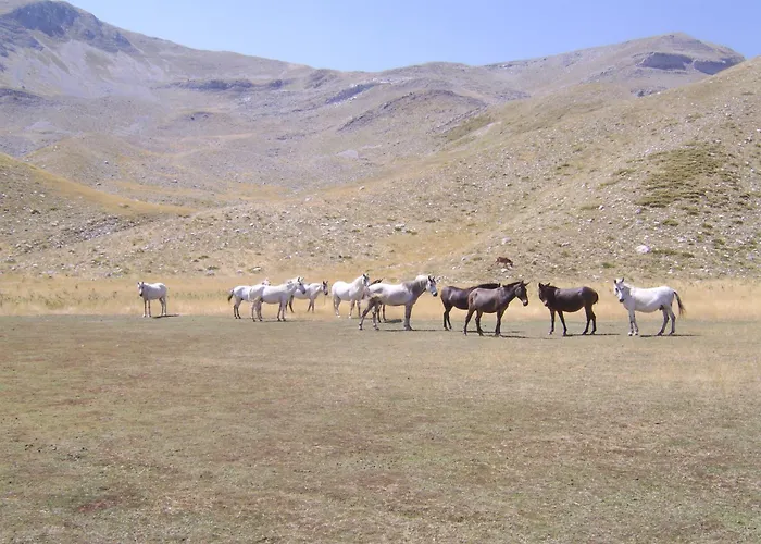 Family Σπίτι διακοπών